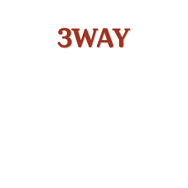 3way
